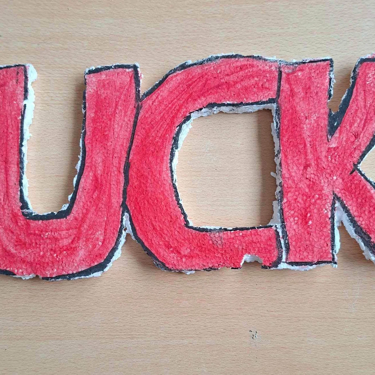 Fotografi nga aktiviteti